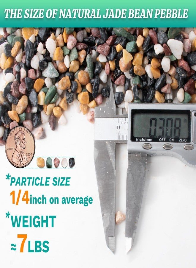 AVALUTION Aquarium Gravel for Plants -7lb Fish Tank Gravel for Succulent Cactus & Bonsai, 1/4Inch Decorative River Rocks Pebbles for Gardening, Flower Pots, Landscaping, Terrarium - Image 3